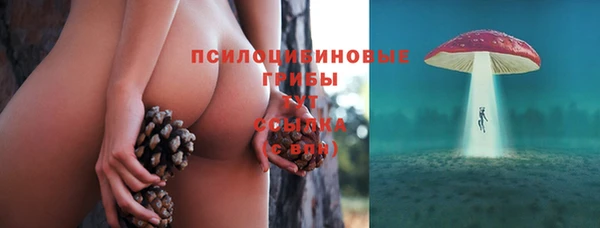 не бодяженный Богданович