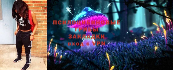 дживик Белоозёрский