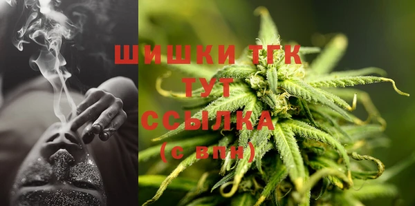 стафф Богородицк