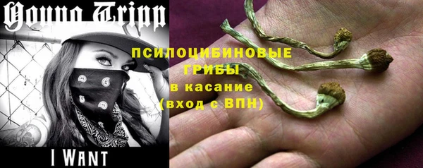 не бодяженный Богданович