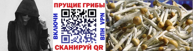 Галлюциногенные грибы мицелий  Плёс 